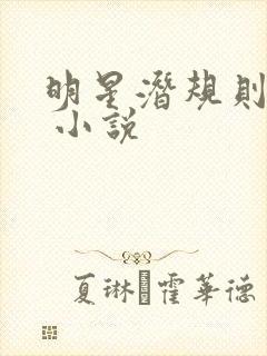 明星潜规则之皇 小说