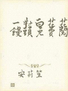 一对白花花的大馒头免费阅读