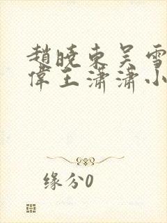 赵晓东吴雪晴郑伟王潇潇小说名字