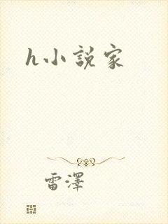 h小说家
