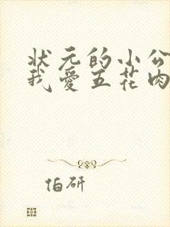 状元的小公主(我爱五花肉)