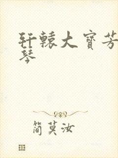 轩辕大宝芳菲雅琴