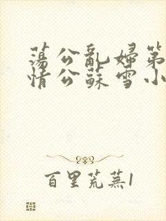 荡公乱妇第1章情公苏雪小说