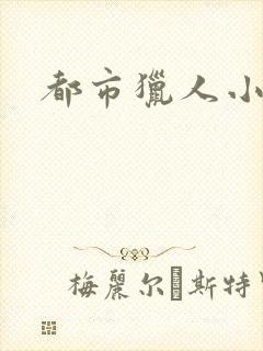 都市猎人小说