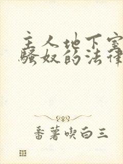 主人地下室惩罚骚奴的法律后果