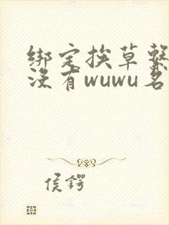 绑定挨草系统后没有wuwu名字