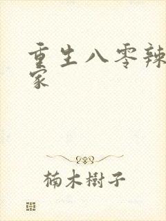 重生八零辣妻当家