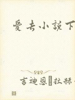 爱去小说下载网