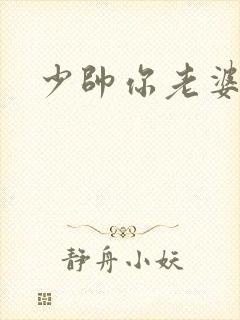 少帅你老婆