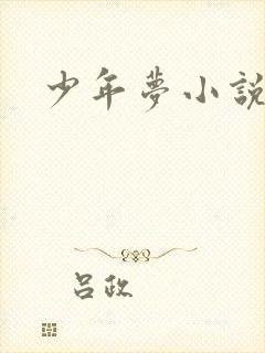 少年梦小说