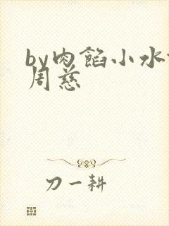 by肉馅小水饺周慈