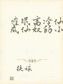 催眠高冷仙奴变成仙奴的小说