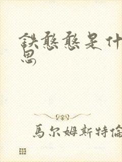 铁憨憨是什么意思