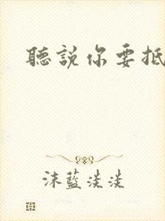 听说你要抵抗我