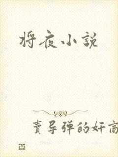 将夜小说