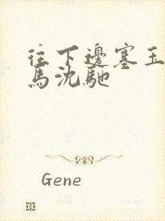 往下边塞玉器骑马沈驰