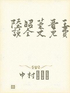 陆昭菱晋王的小说全文免费阅读