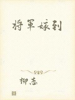 将军嫁到