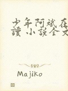 少年阿斌在线阅读 小说全文免费