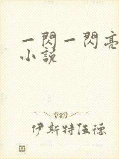 一闪一闪亮星星小说