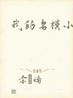 我的名模小娇妻