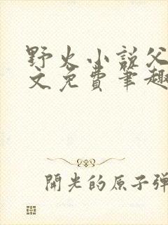 野火小说父女全文免费笔趣阁
