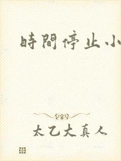 时间停止小说