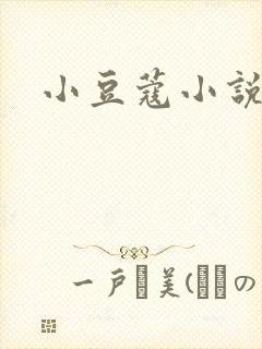 小豆蔻小说