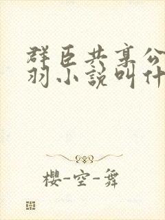 群臣共享公主银羽小说叫什么