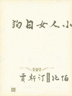 狗日女人小说