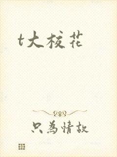t大校花