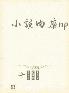 小说肉糜np