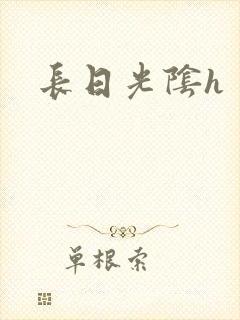 长日光阴h