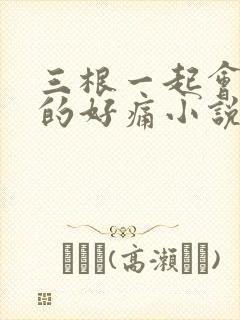 三根一起会坏掉的好痛小说