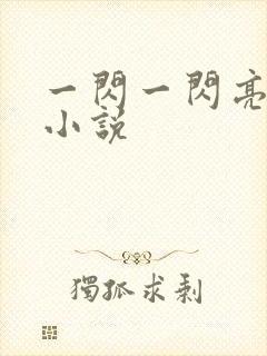 一闪一闪亮星星小说