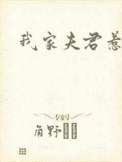 我家夫君惹不起