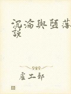 沉沦与堕落的小说