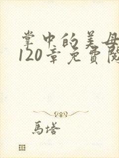 掌中的美母版主120章免费阅读