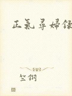 正气寻妇录