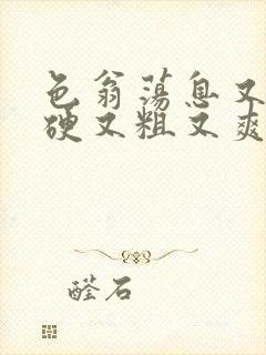 色翁荡息又大又硬又粗又爽小莹