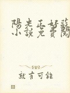 阳光正好苏玥玥小说免费阅读无弹窗