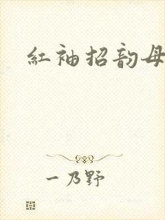 红袖招韵母攻略