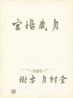 官场岁月