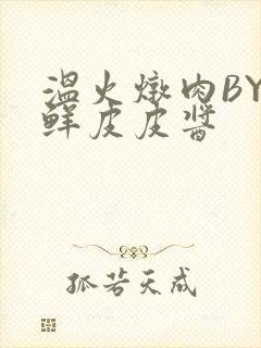 温火炖肉BY海鲜皮皮酱