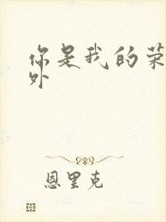 你是我的荣耀番外