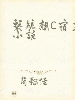 系统想C宿主的小说