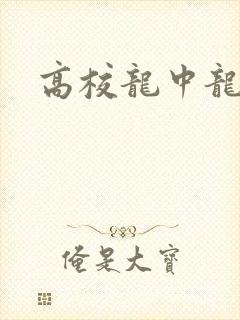 高校龙中龙