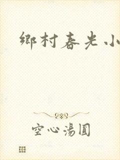 乡村春光小说