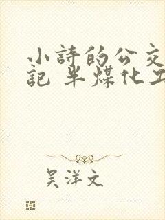 小诗的公交车日记 半煤化工