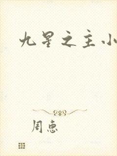 九星之主小说